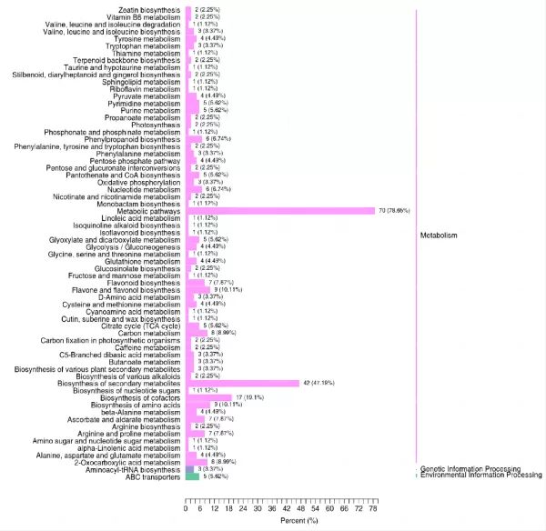 Figure 4. Summary of the different functions annotated for the differentially expressed metabolites (DEMs) using the KEGG database.